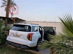 هيونداي باليسيد